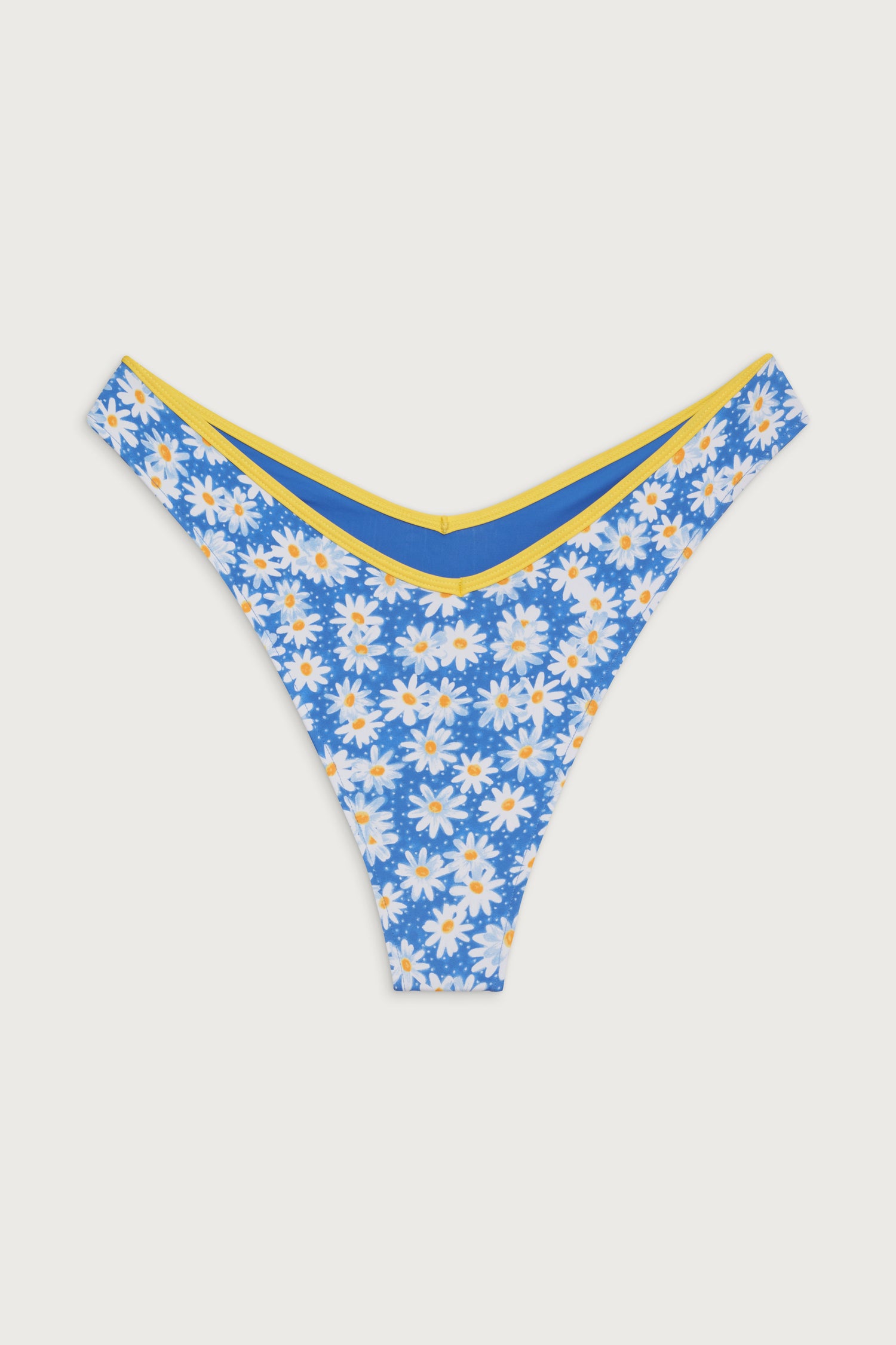 Enzo Cheeky Bikini Bottom  Blue Daisy