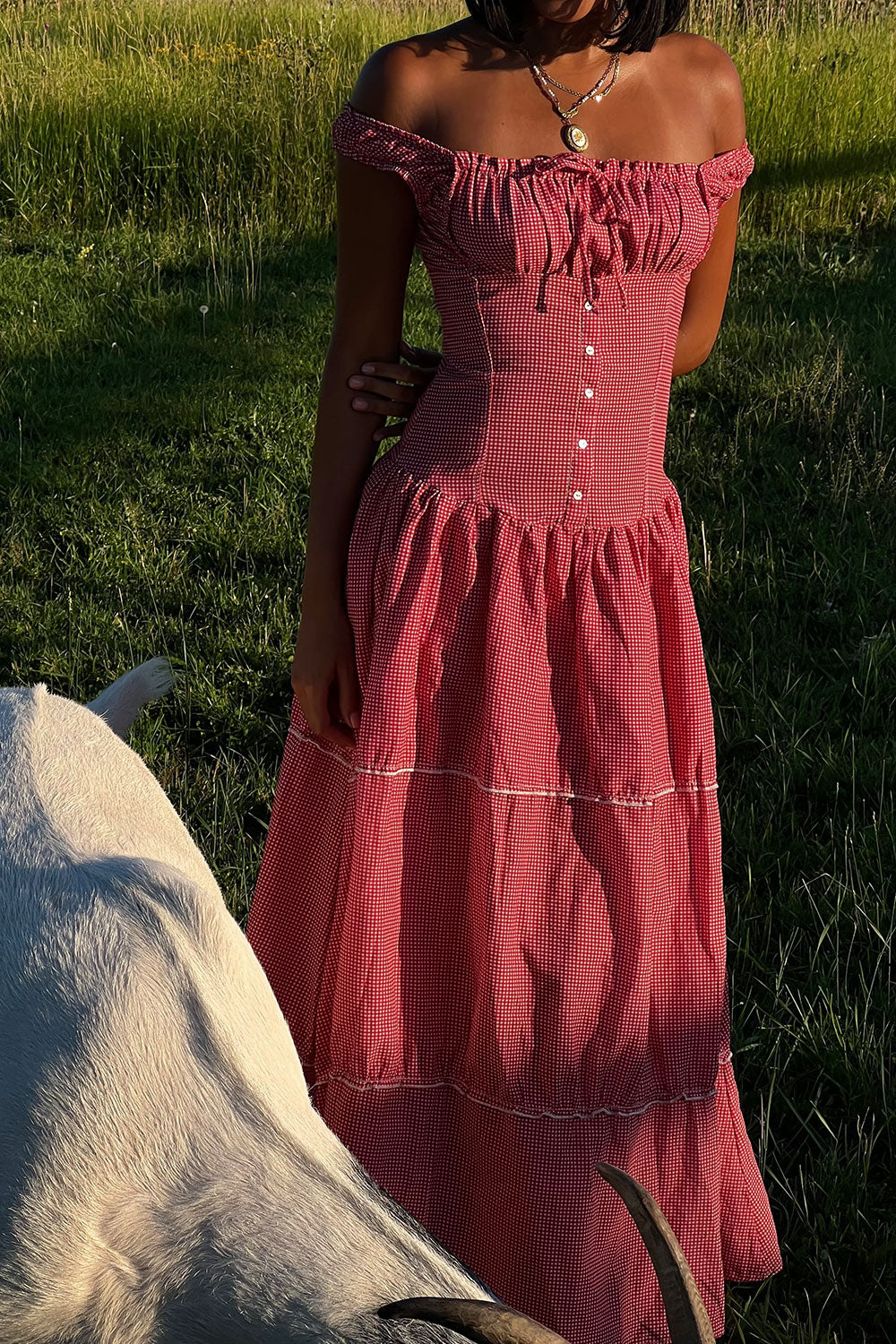Christabelle Ruffle Maxi Dress - Ladybug Gingham
