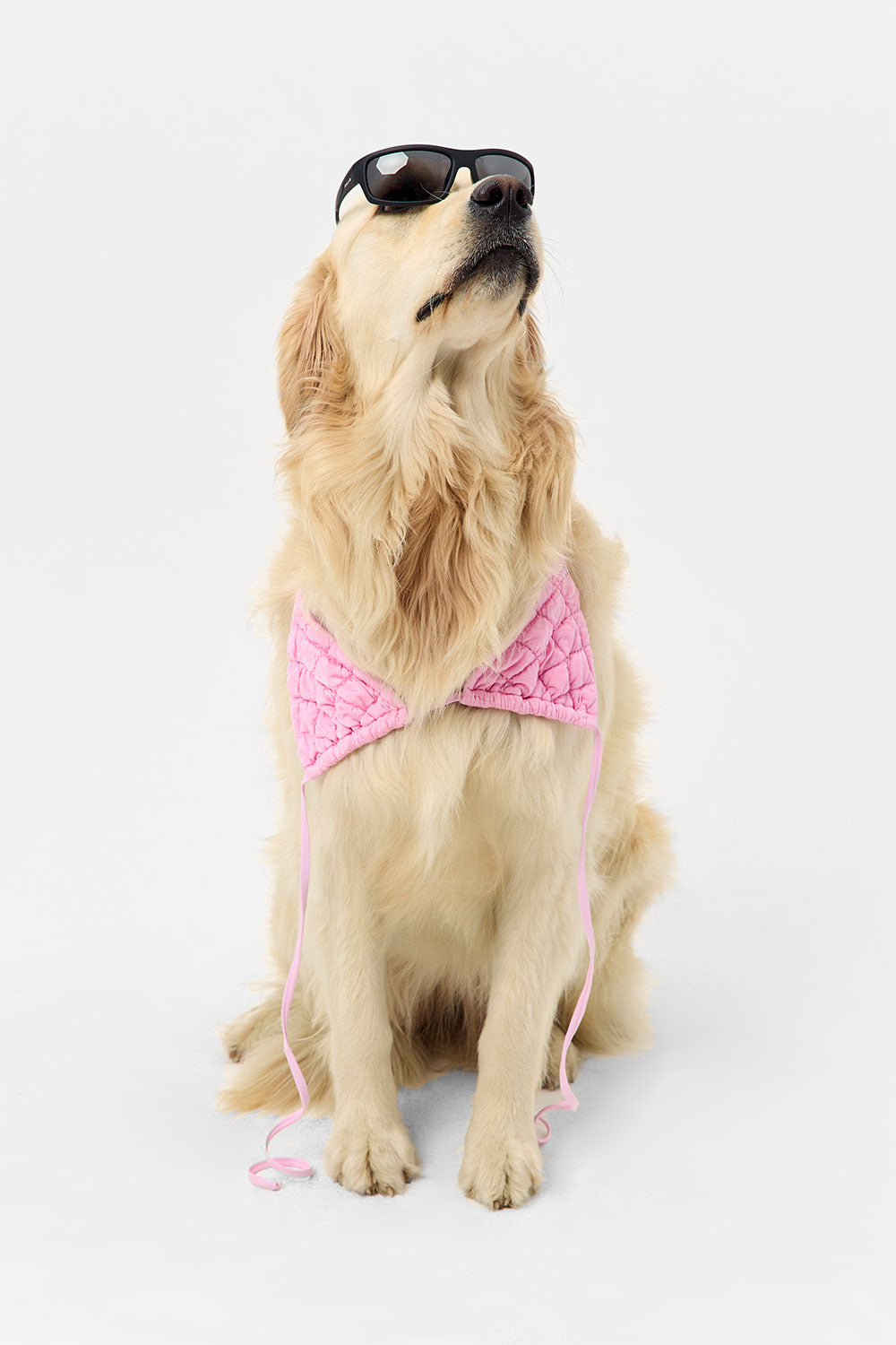 Tia String Triangle Bikini Top  Baby Pink