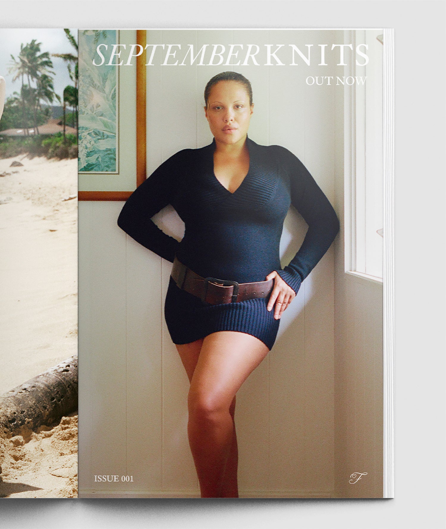 Frankies Bikinis - September Knits Banner