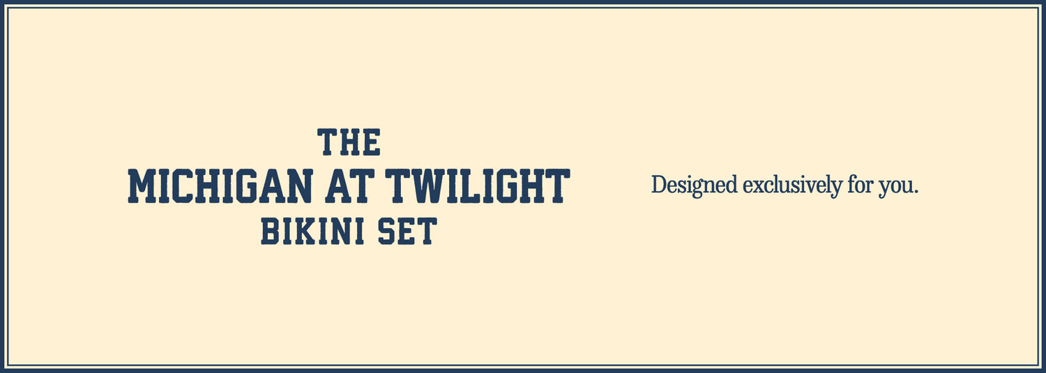 michigan desktop banner