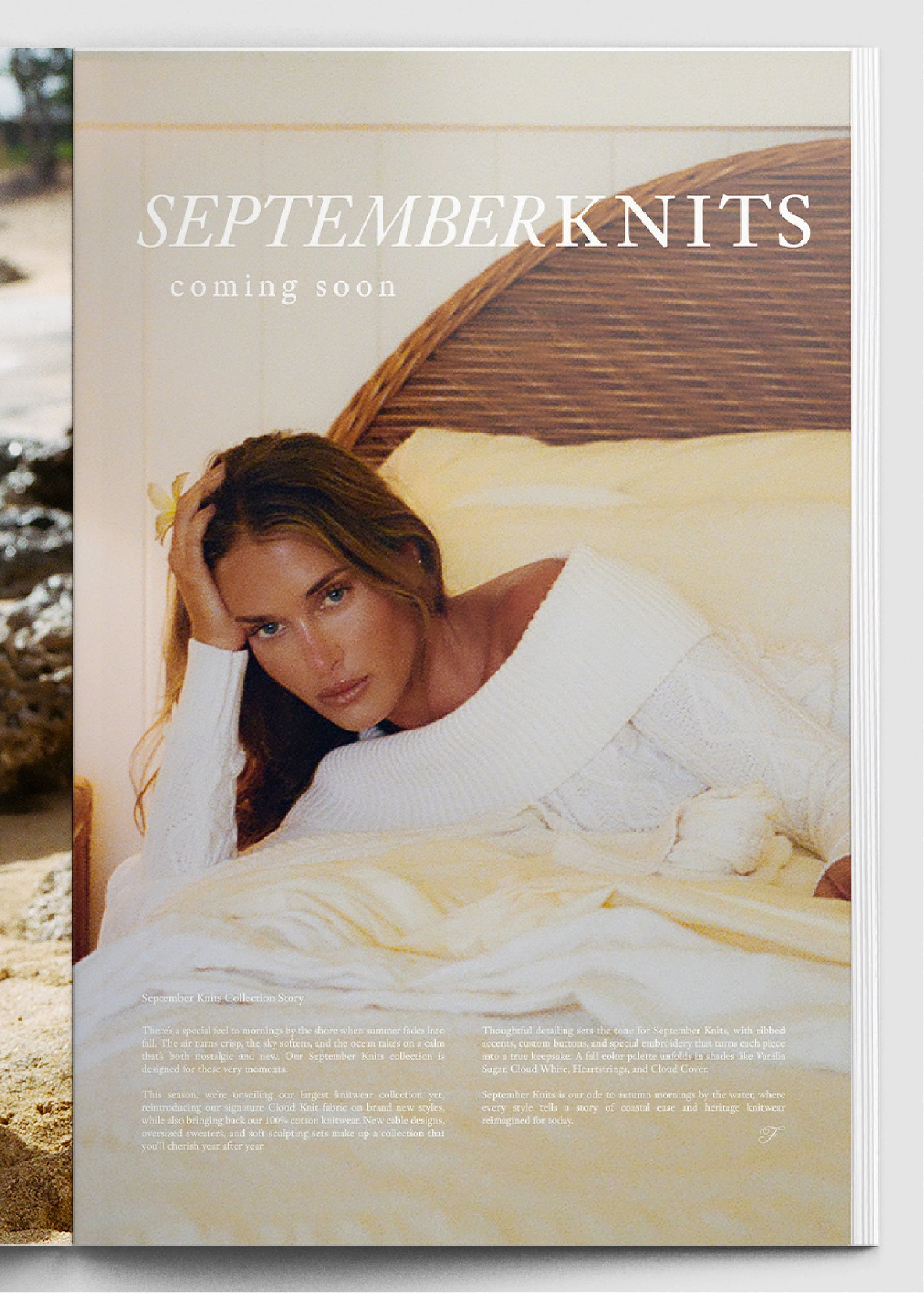 Frankies Bikinis - Coming Soon Banner