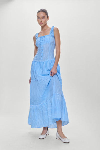 Christabelle Polka Dot Maxi Dress
