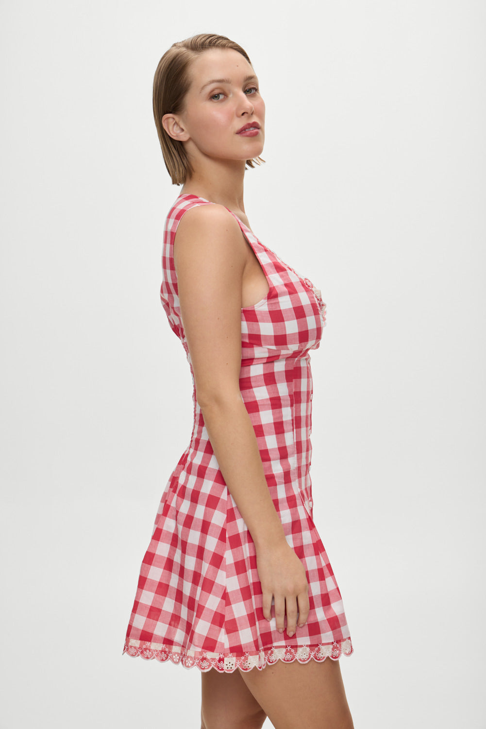 x BELLA HADID Farm Gingham Mini Dress  Malibu Picnic