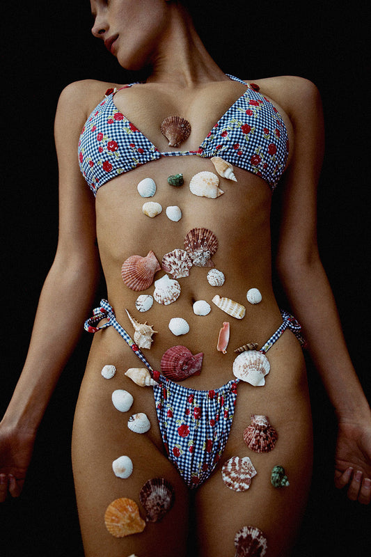 Nick Floral Triangle Bikini Top Rose Gingham and Tia Floral Skimpy Bikini Bottom Rose Gingham by Frankies Bikinis 