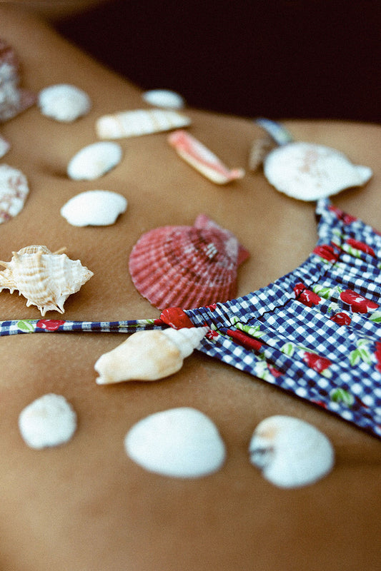 Tia Floral Skimpy Bikini Bottom Rose Gingham by Frankies Bikinis 